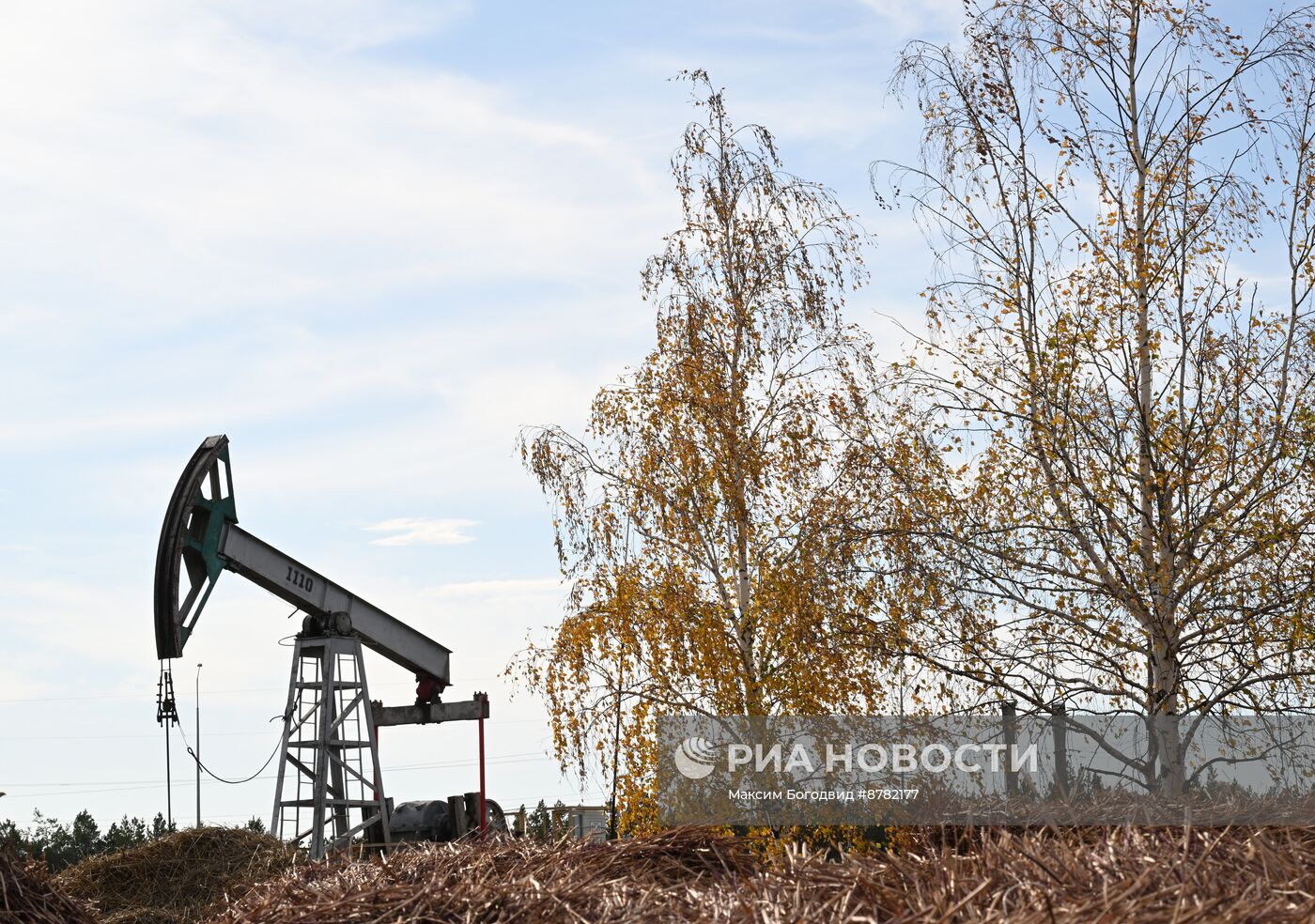 Нефтяные качалки в Татарстане