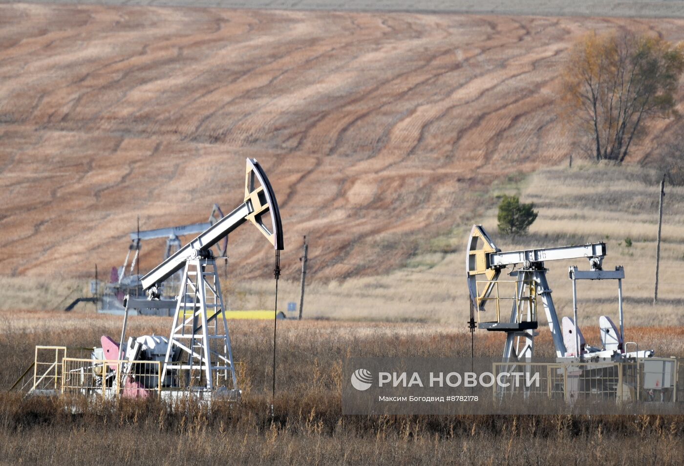 Нефтяные качалки в Татарстане 