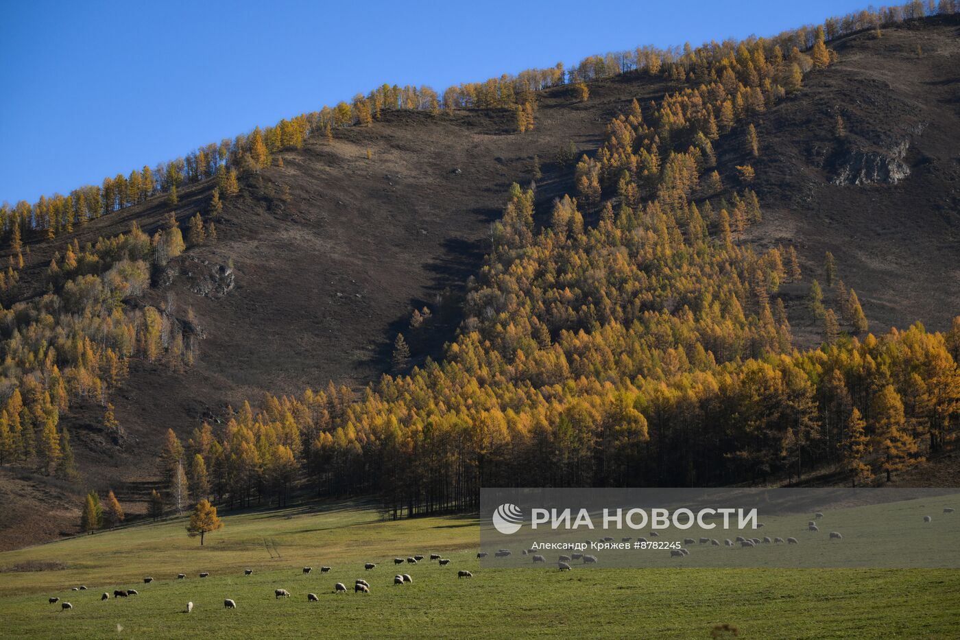 Осень на Алтае 