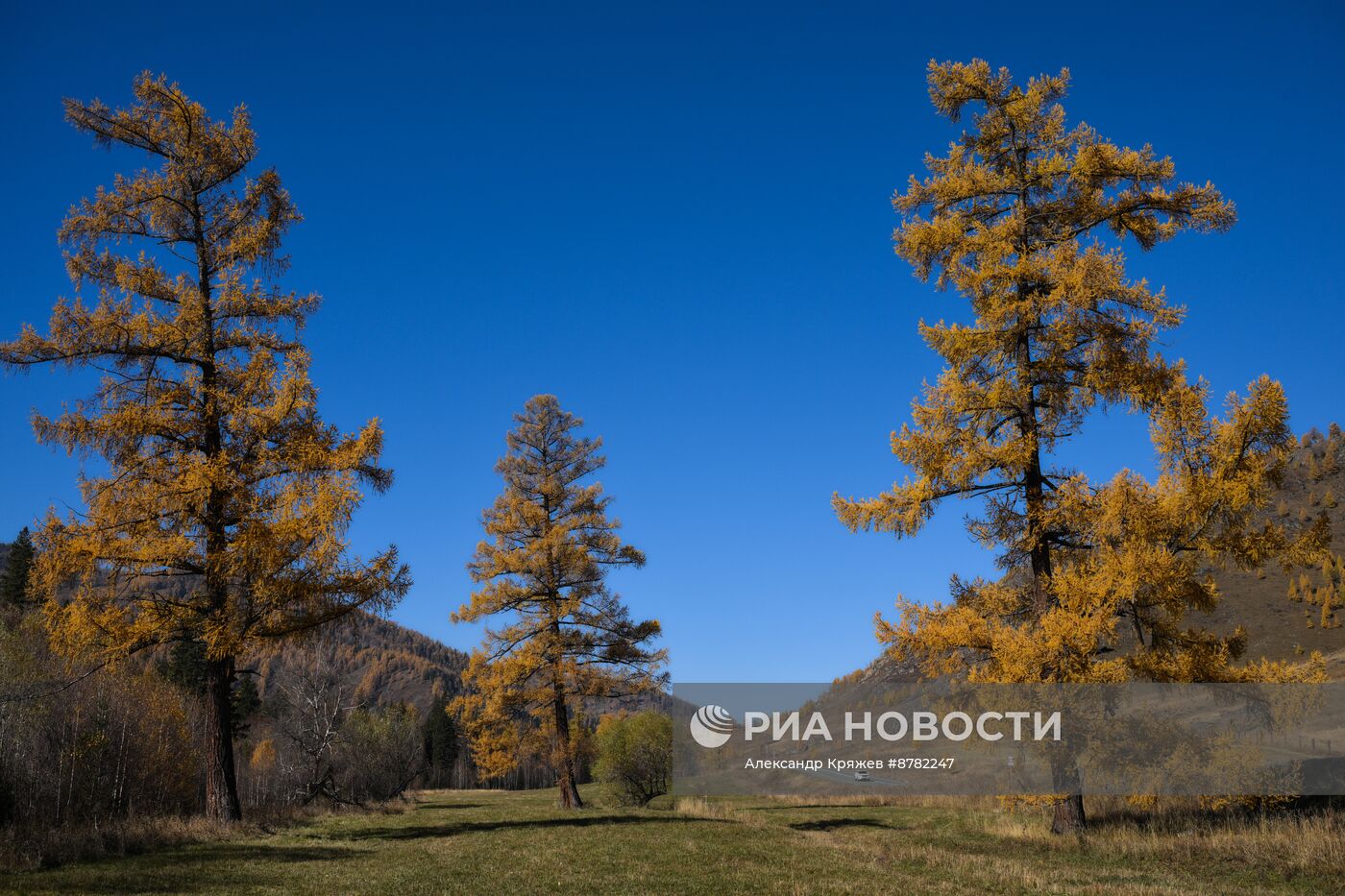 Осень на Алтае 