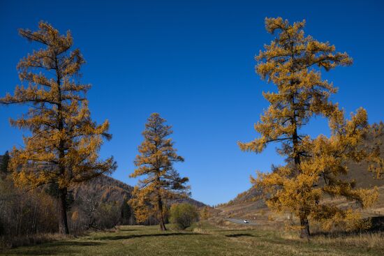 Осень на Алтае 