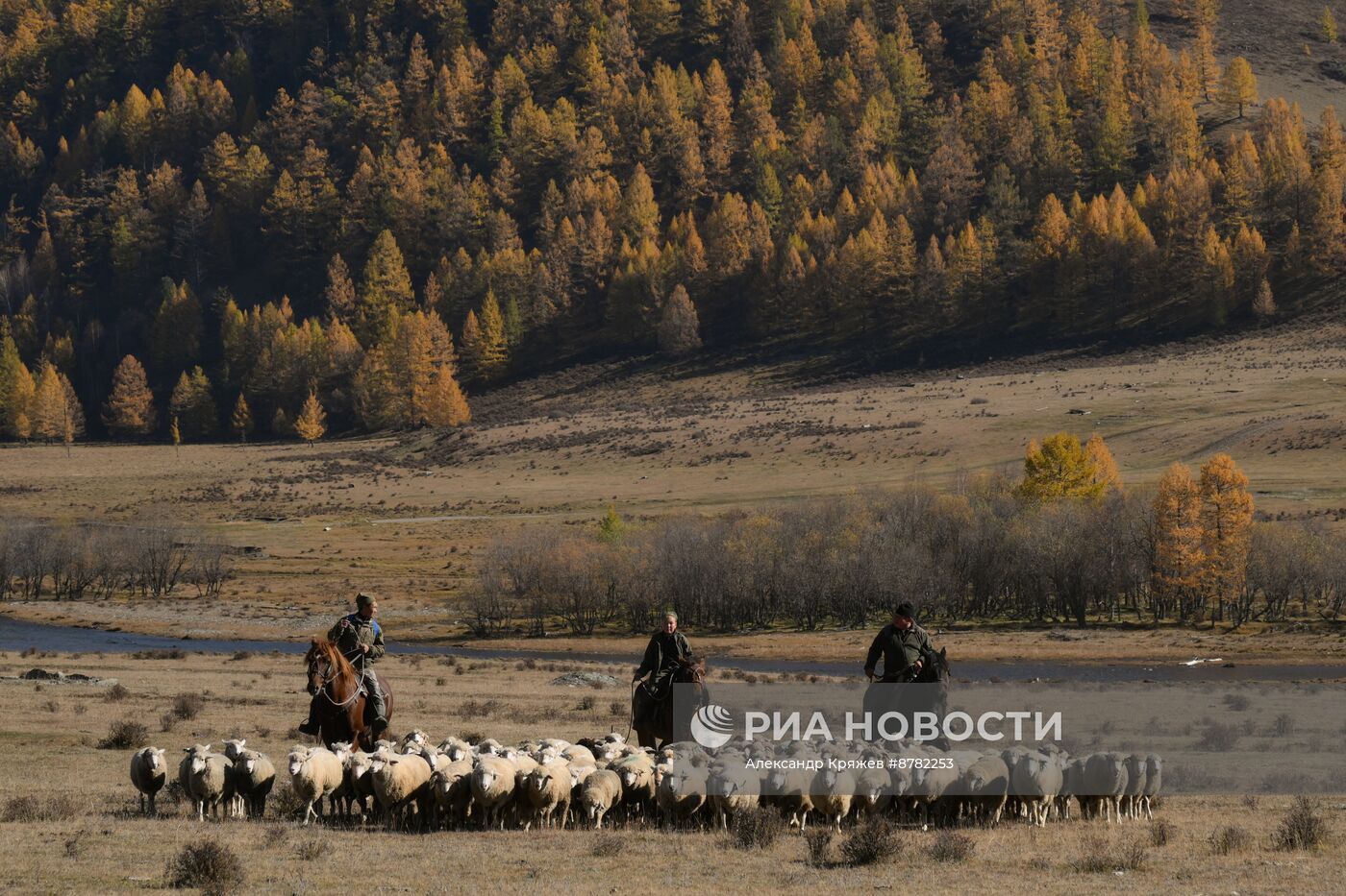 Осень на Алтае 