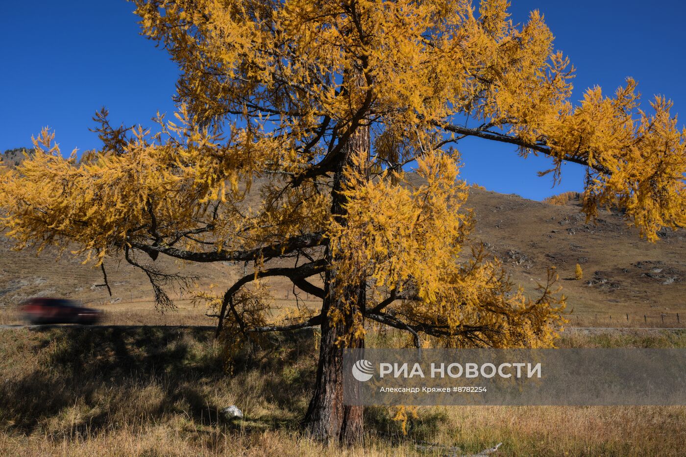 Осень на Алтае 