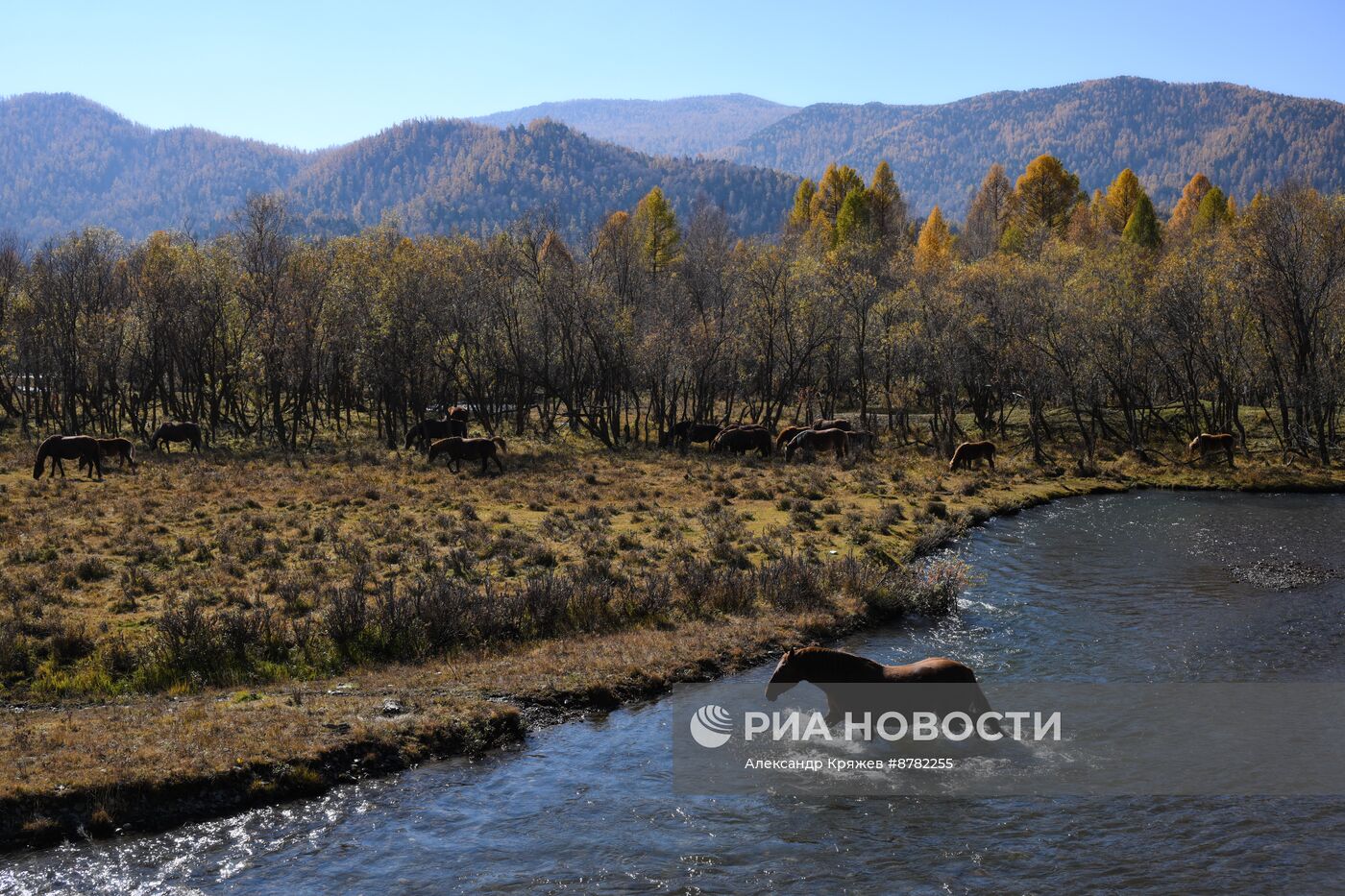 Осень на Алтае 