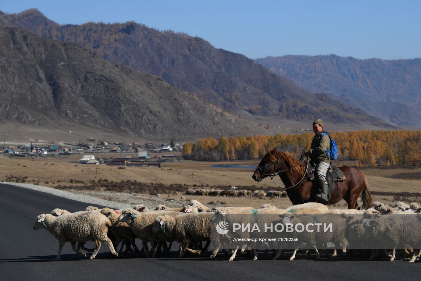 Осень на Алтае 