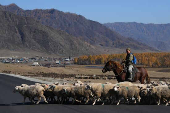 Осень на Алтае 