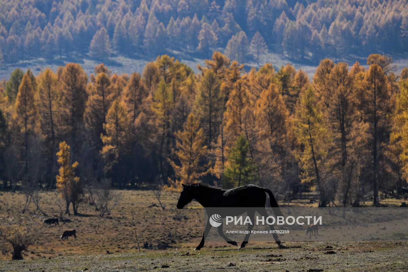 Осень на Алтае 