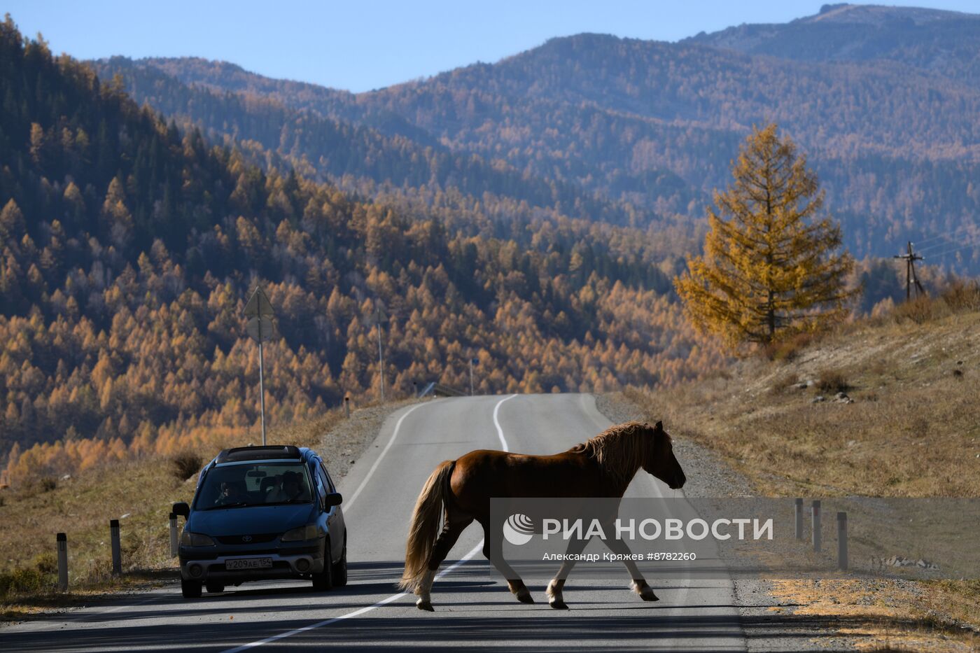 Осень на Алтае 