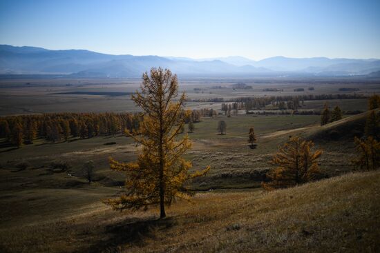 Осень на Алтае 