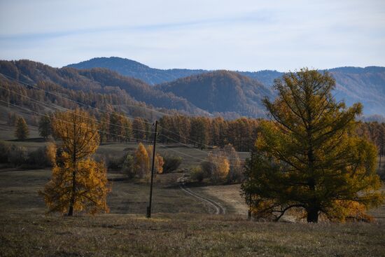 Осень на Алтае 