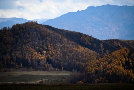 Осень на Алтае 