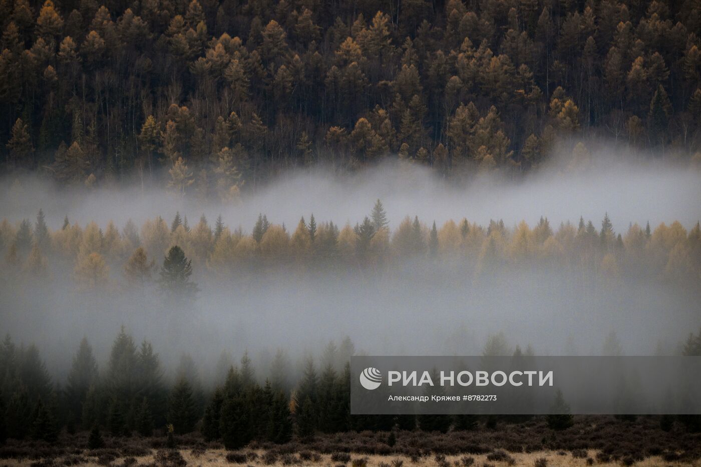 Осень на Алтае 