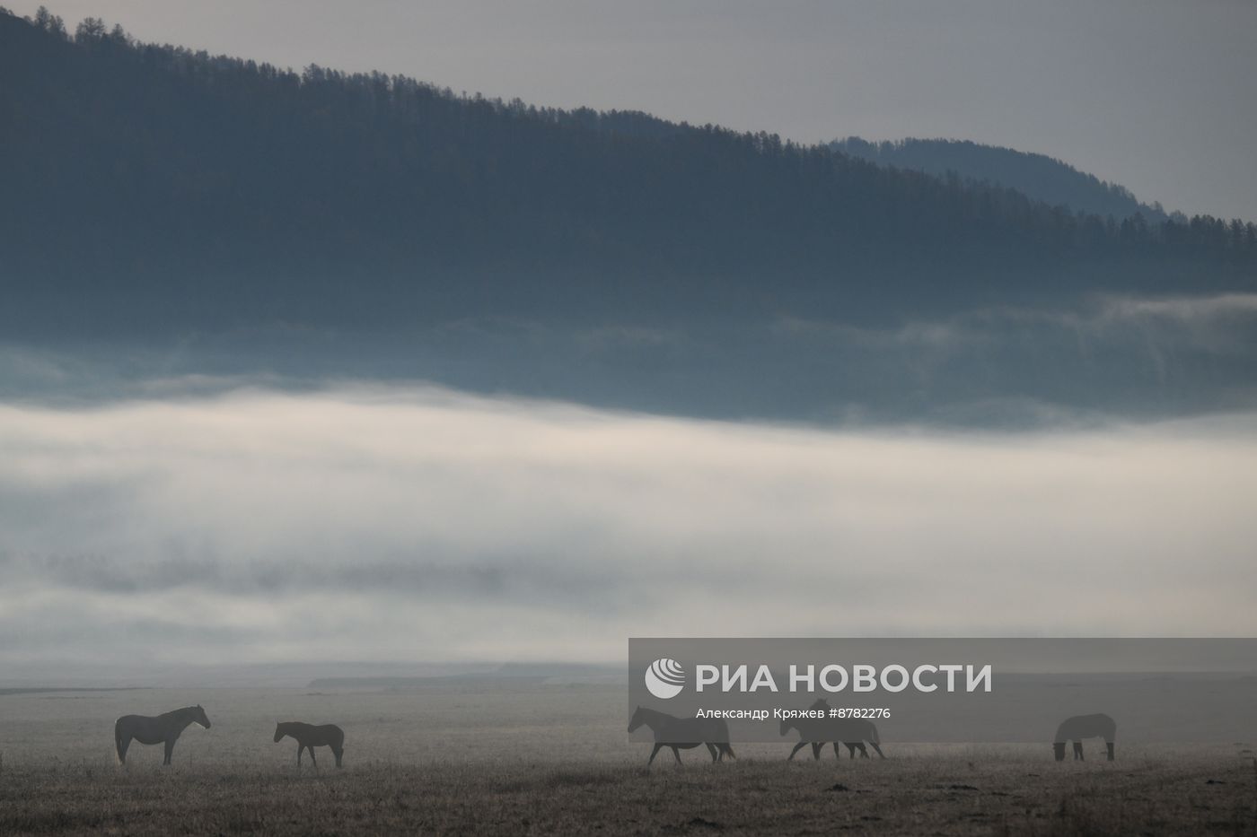 Осень на Алтае