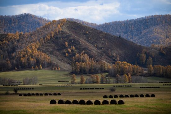 Осень на Алтае 