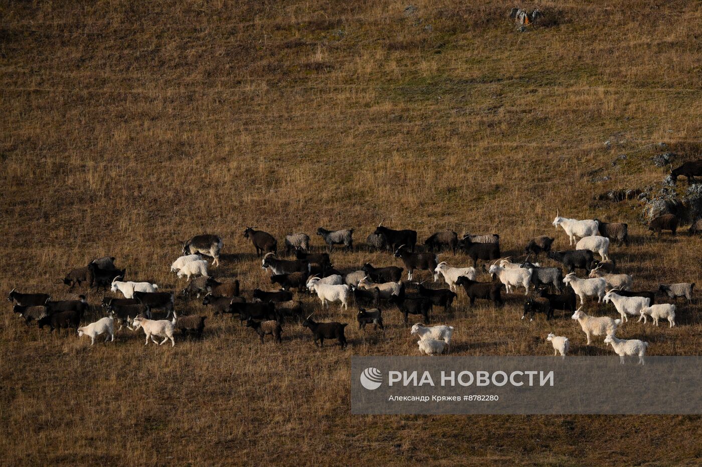 Осень на Алтае 