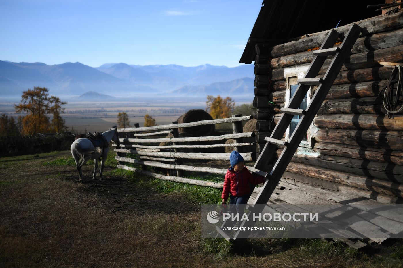 Чабанская стоянка в Республике Алтай