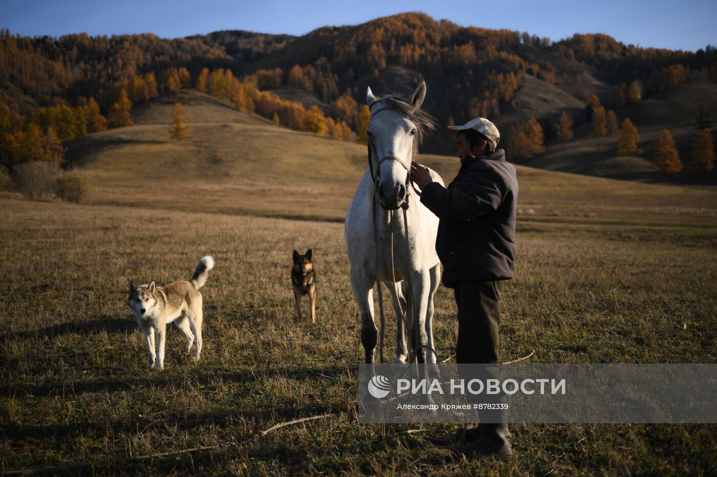 Чабанская стоянка в Республике Алтай