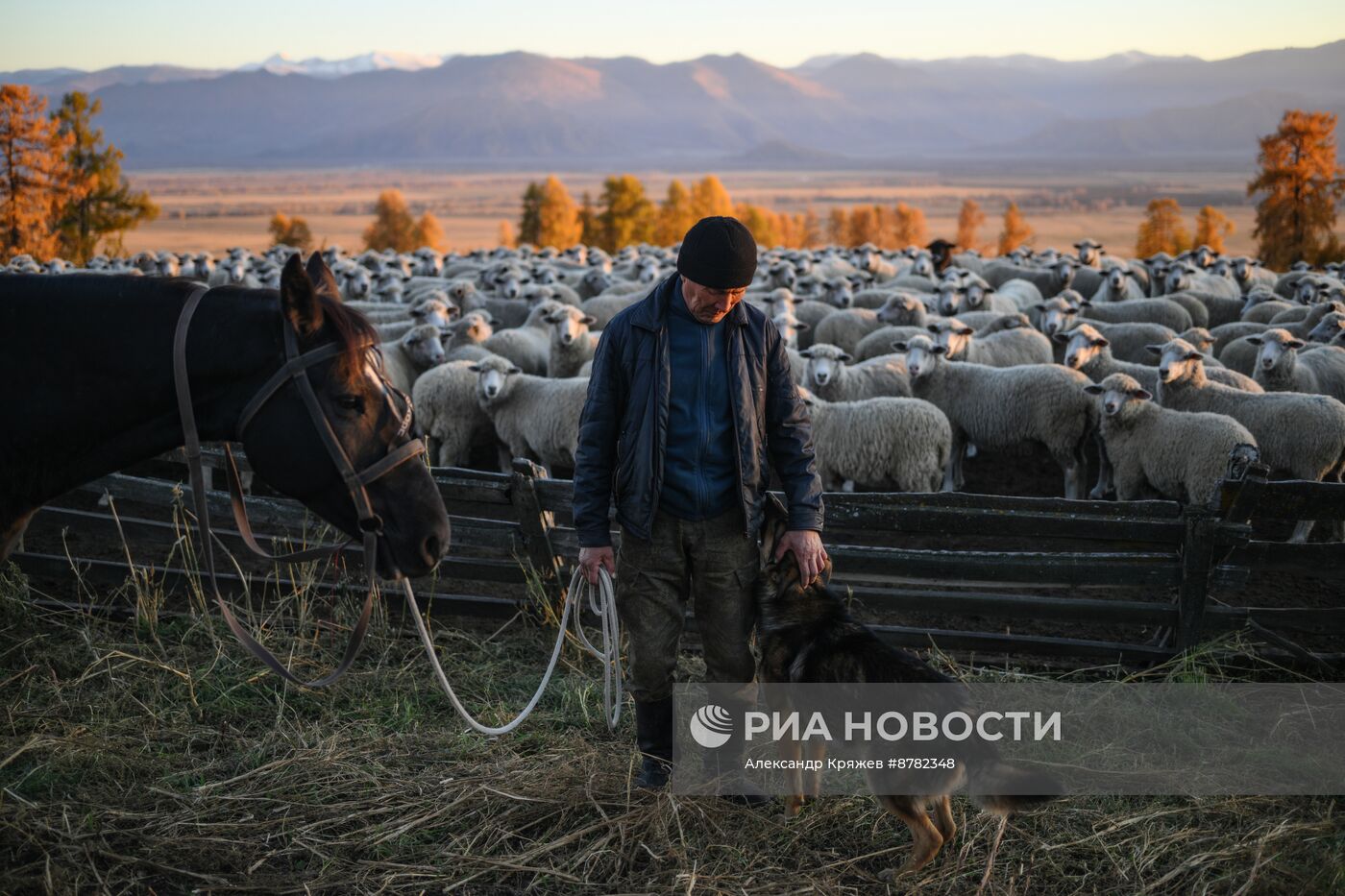 Чабанская стоянка в Республике Алтай