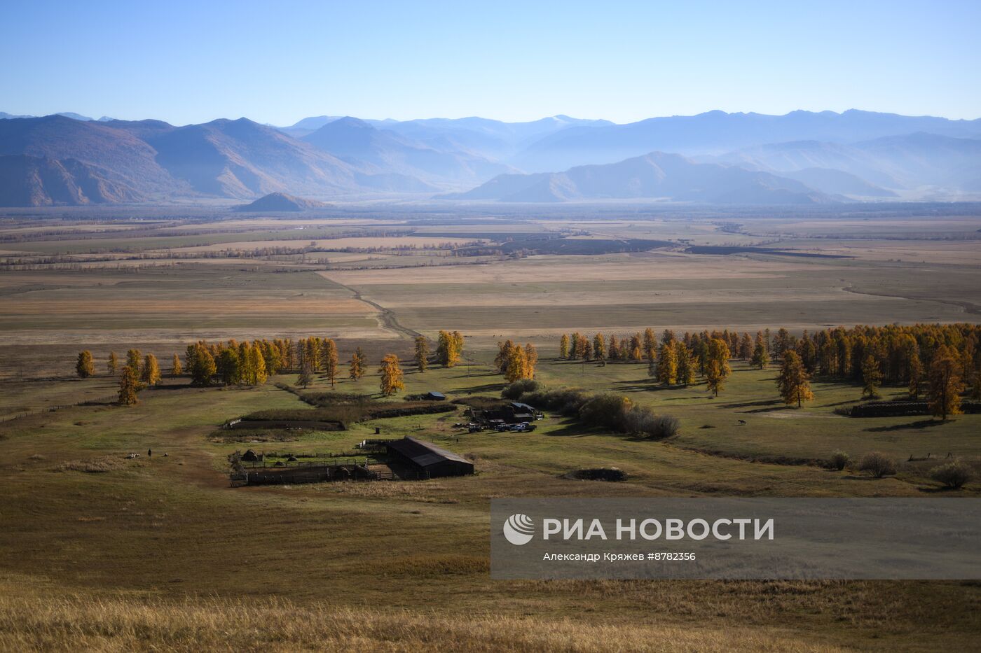 Чабанская стоянка в Республике Алтай