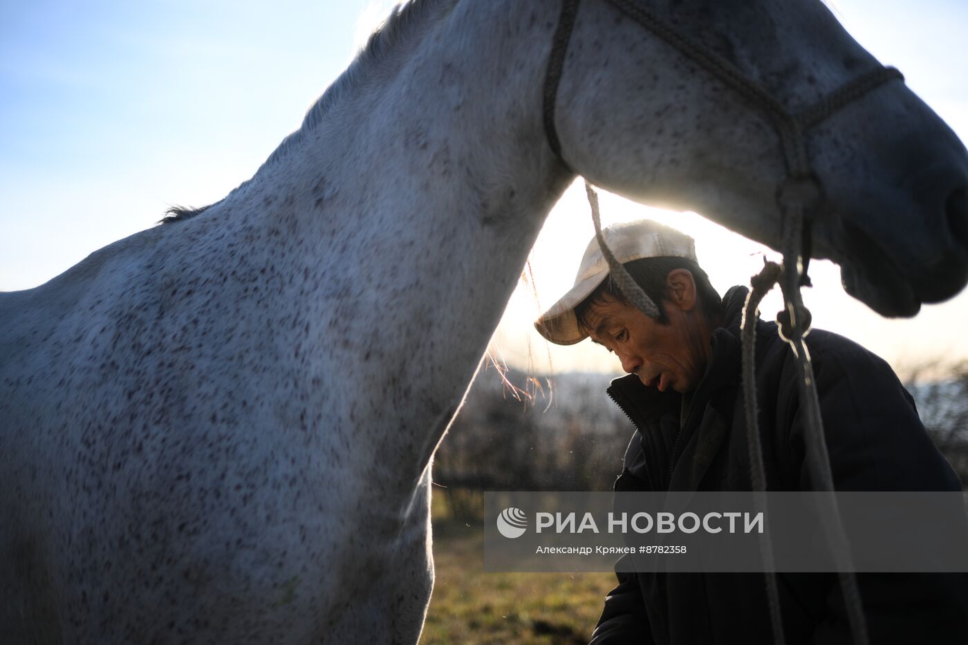 Чабанская стоянка в Республике Алтай