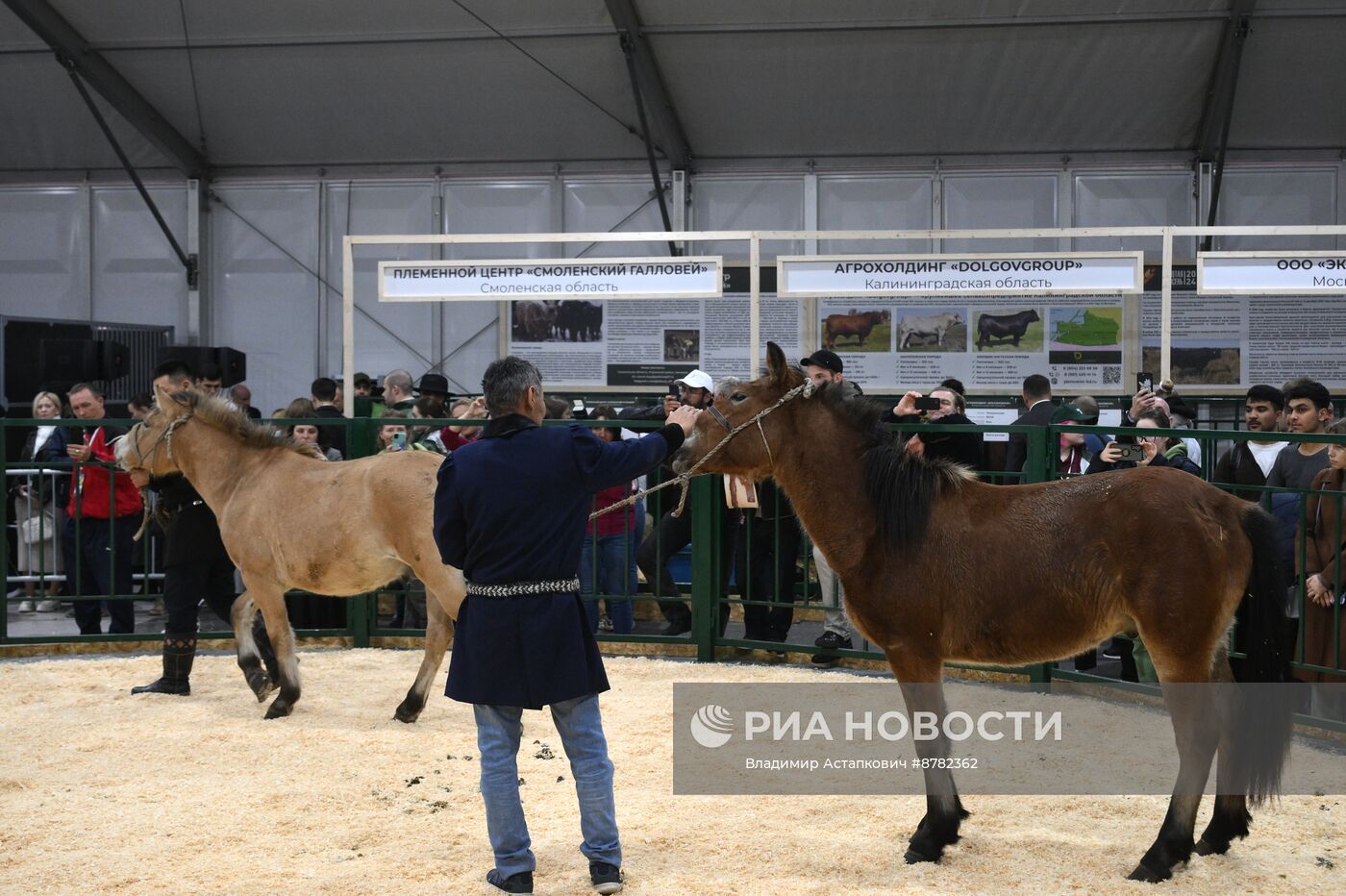 Российская агропромышленная выставка "Золотая Осень" 