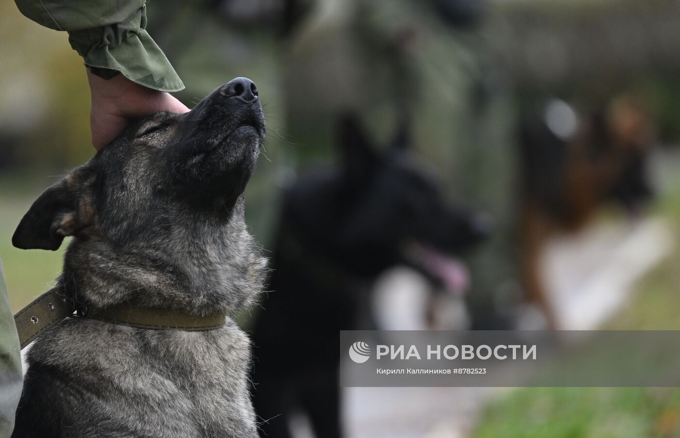 Занятия по боевой подготовке военнослужащих по контракту по специальностям Инженерных войск