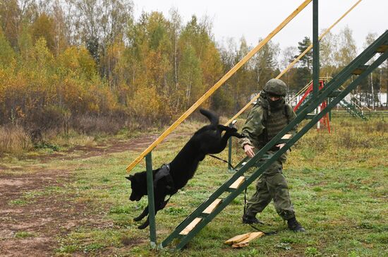 Занятия по боевой подготовке военнослужащих по контракту по специальностям Инженерных войск