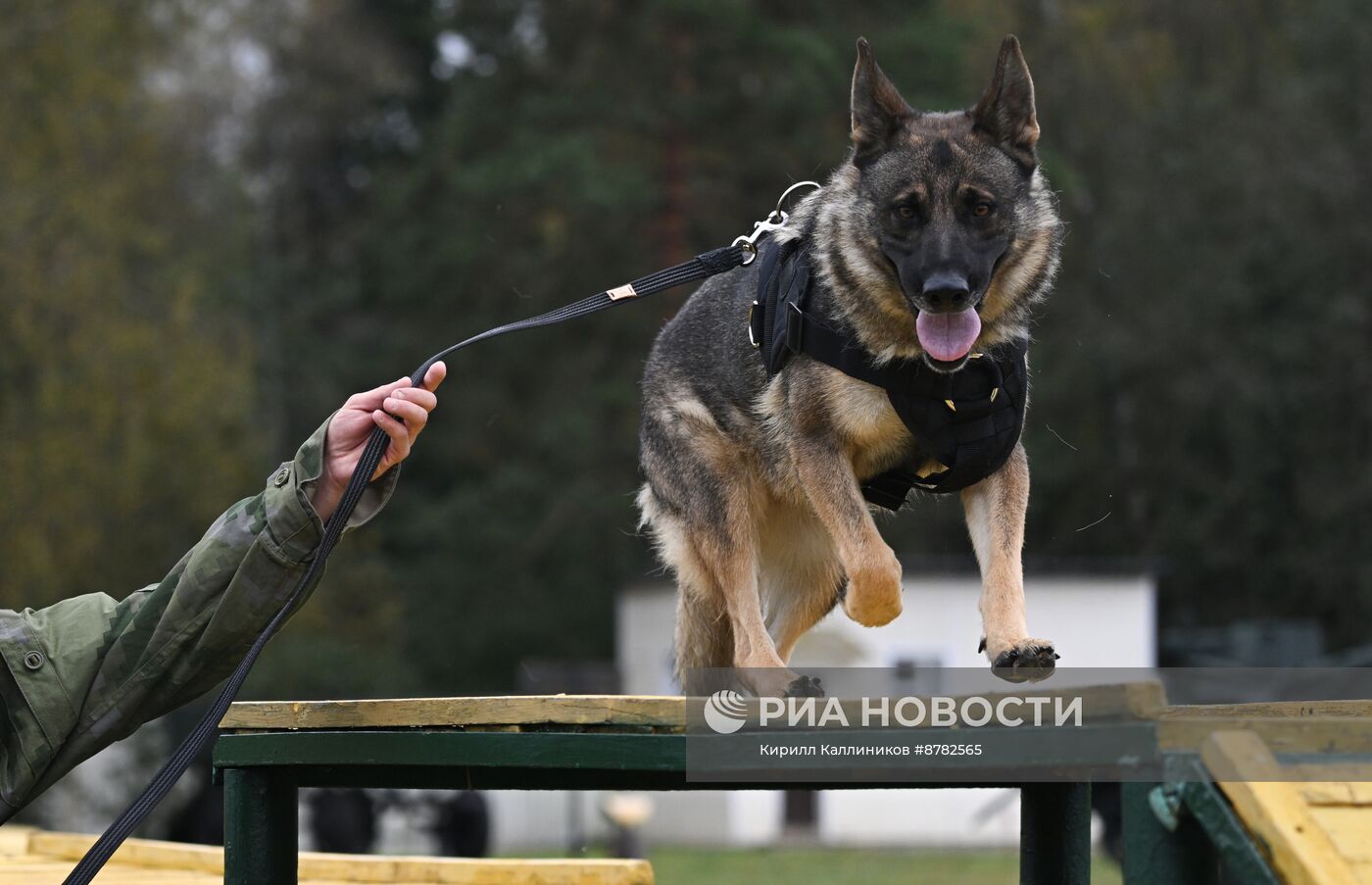 Занятия по боевой подготовке военнослужащих по контракту по специальностям Инженерных войск