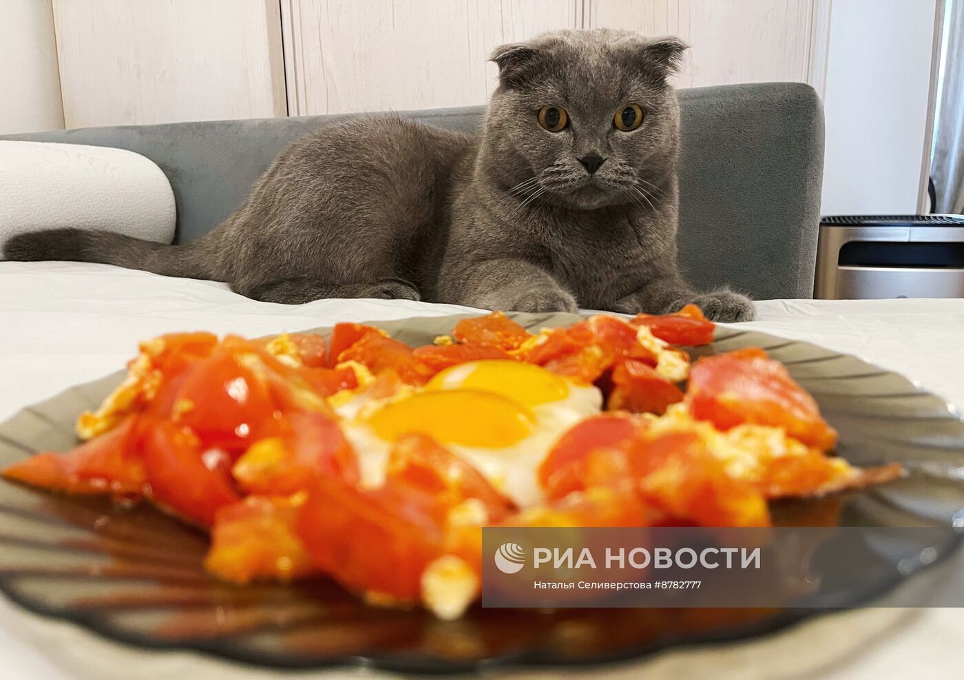 Повседневная жизнь