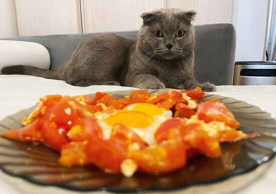 Повседневная жизнь