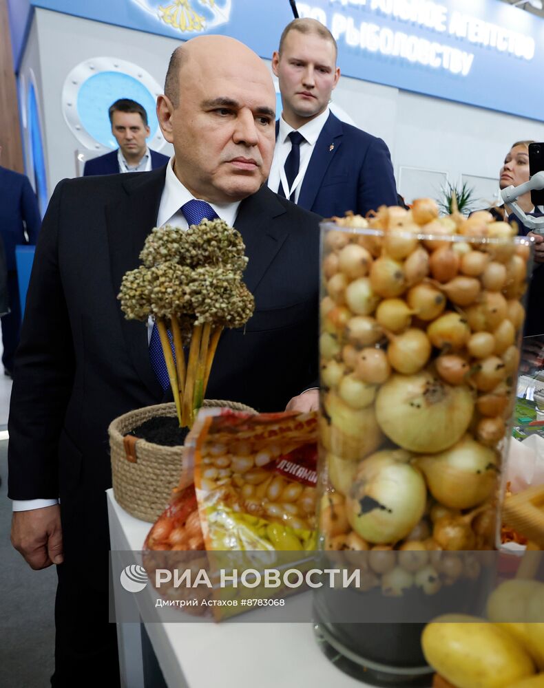 Премьер-министр Михаил Мишустин посетил выставку "Золотая осень"