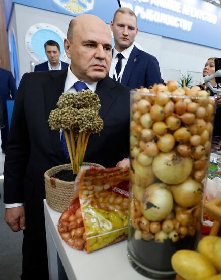 Премьер-министр Михаил Мишустин посетил выставку "Золотая осень"