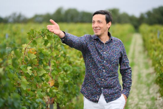 Фестиваль актуального Российского кино "Маяк" 2024 