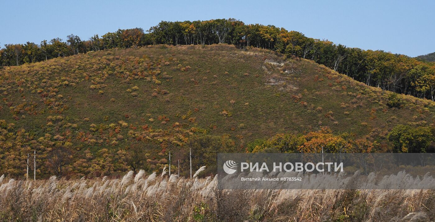 Осень в Приморье