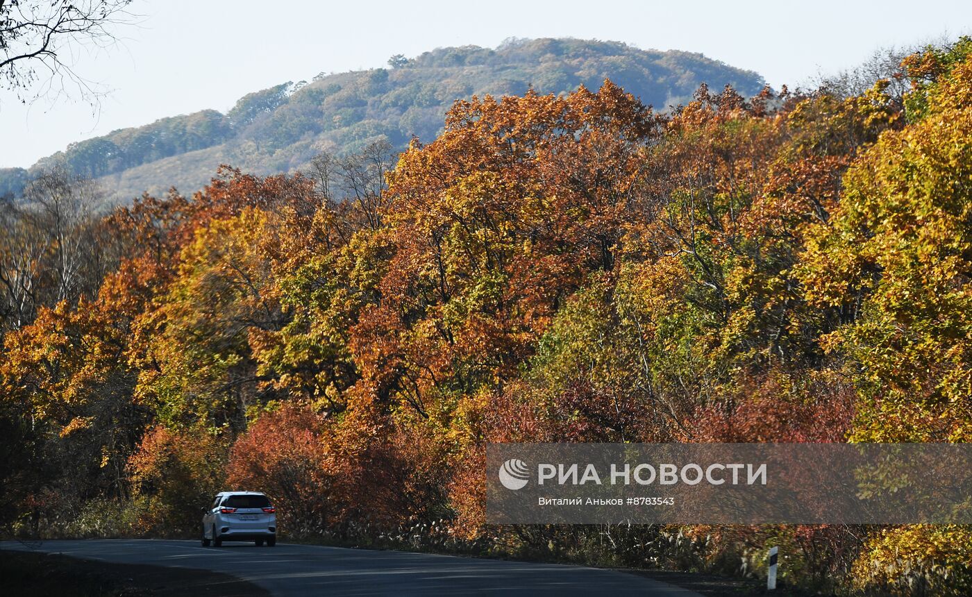 Осень в Приморье