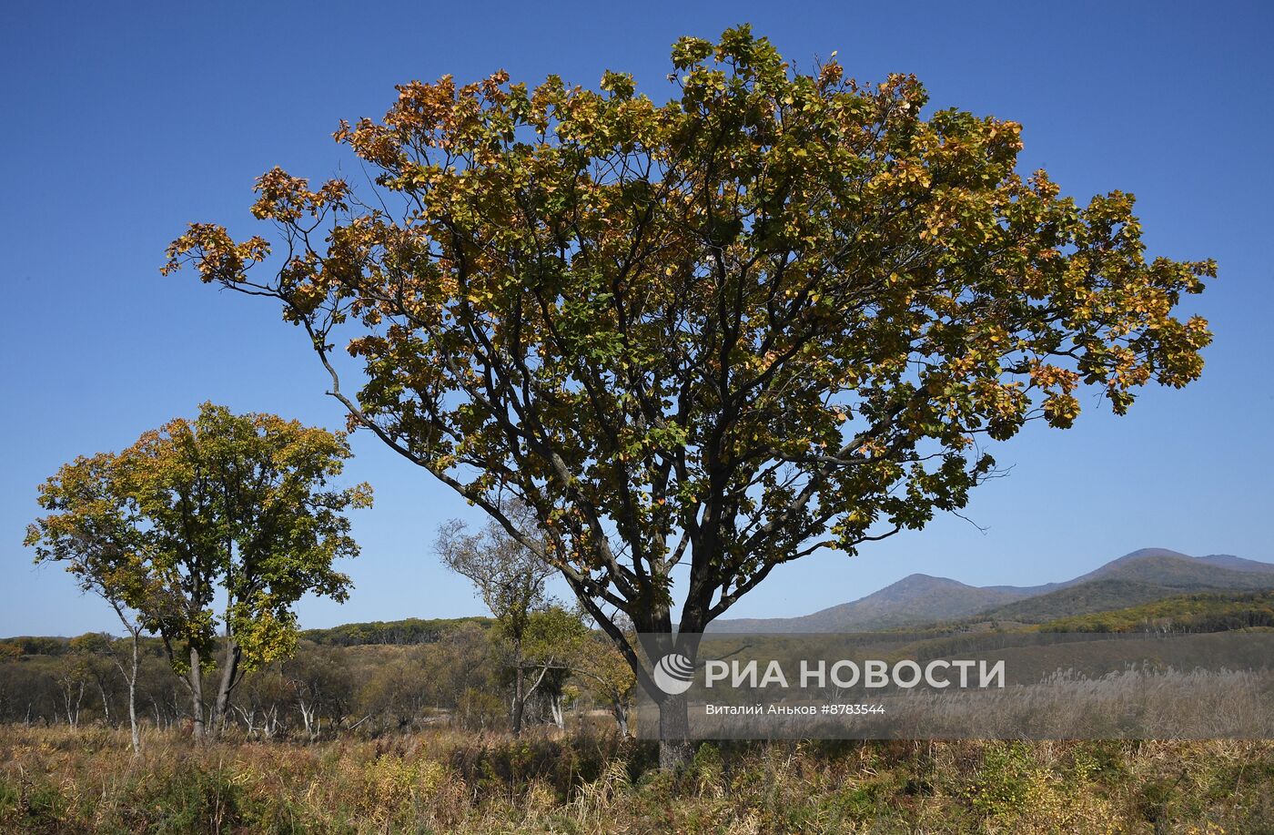 Осень в Приморье