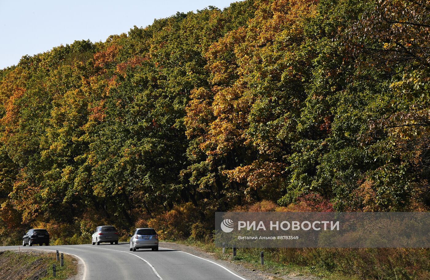 Осень в Приморье