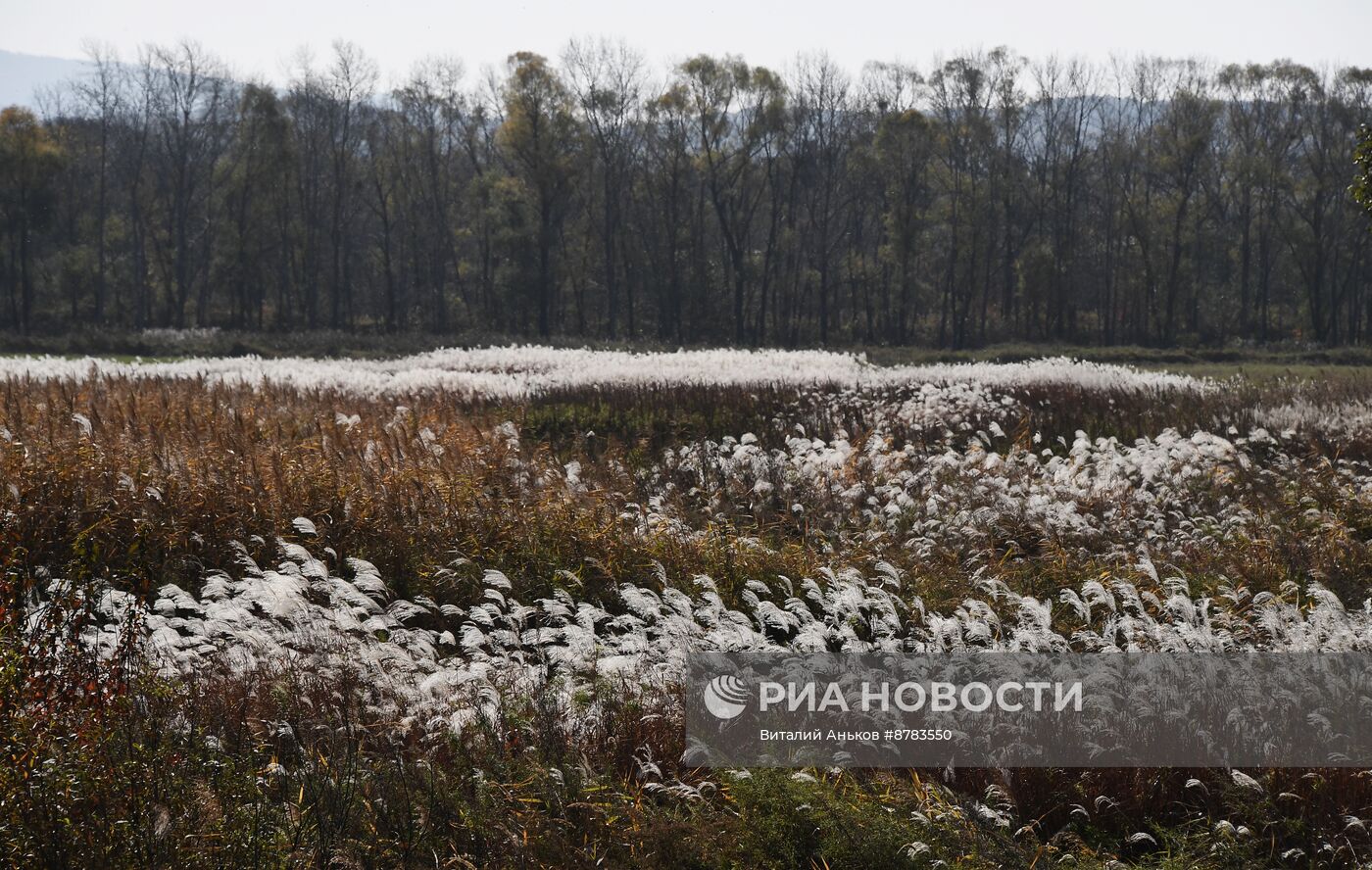 Осень в Приморье