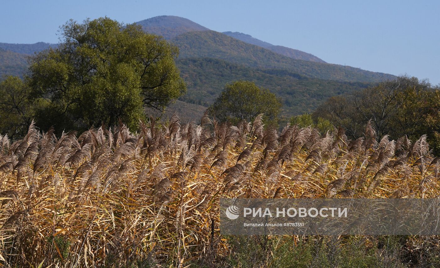 Осень в Приморье