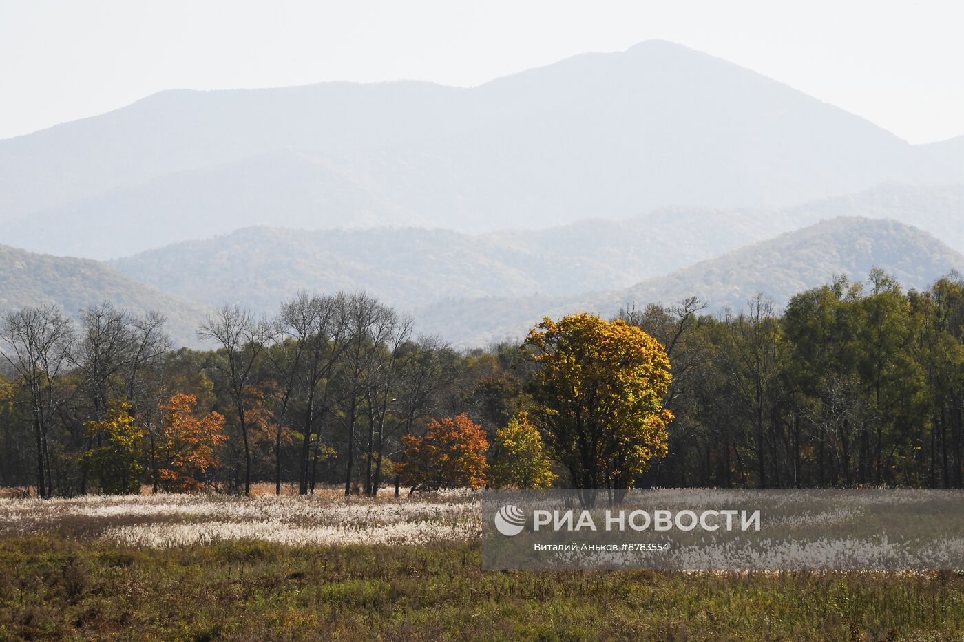 Осень в Приморье