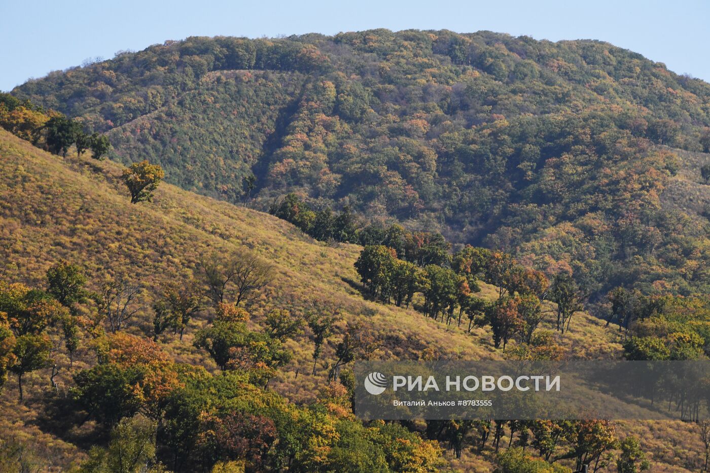 Осень в Приморье