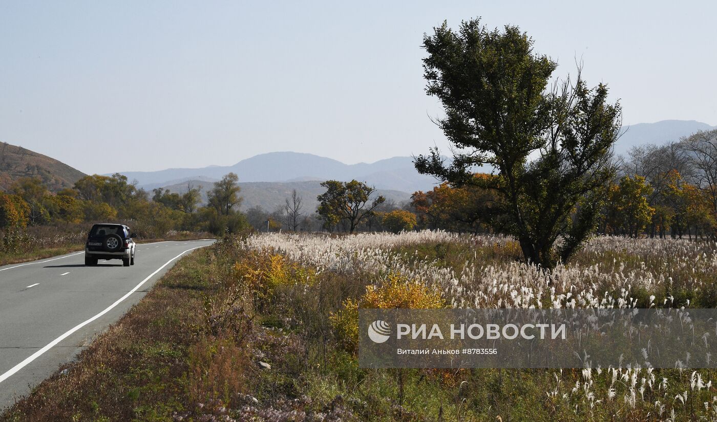 Осень в Приморье