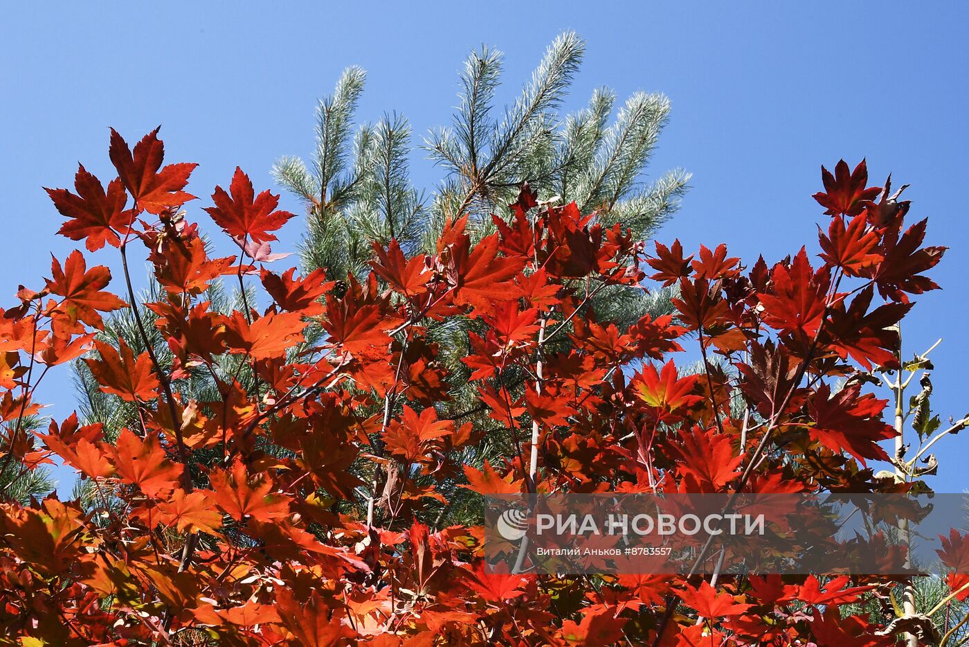 Осень в Приморье