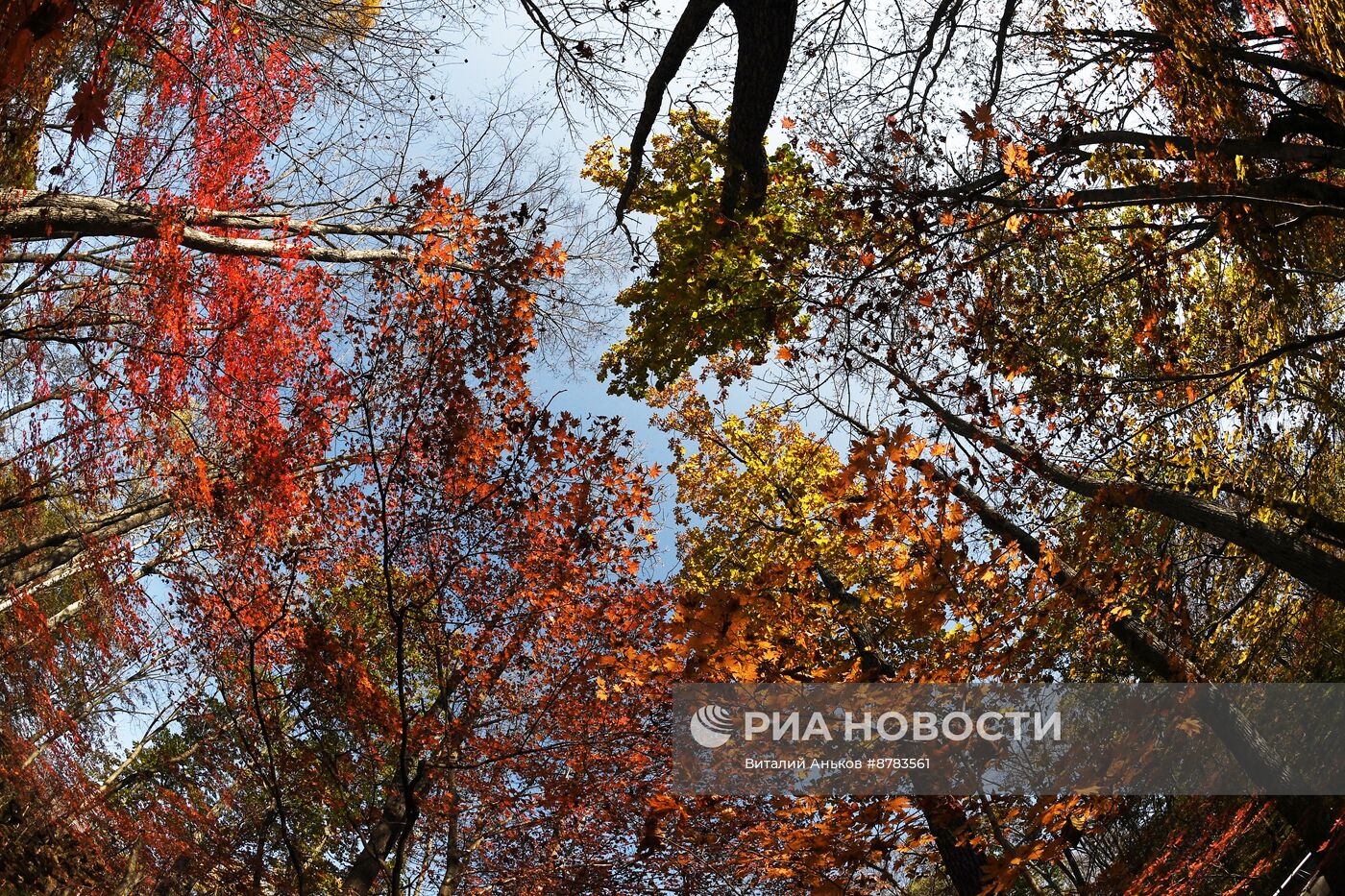 Осень в Приморье