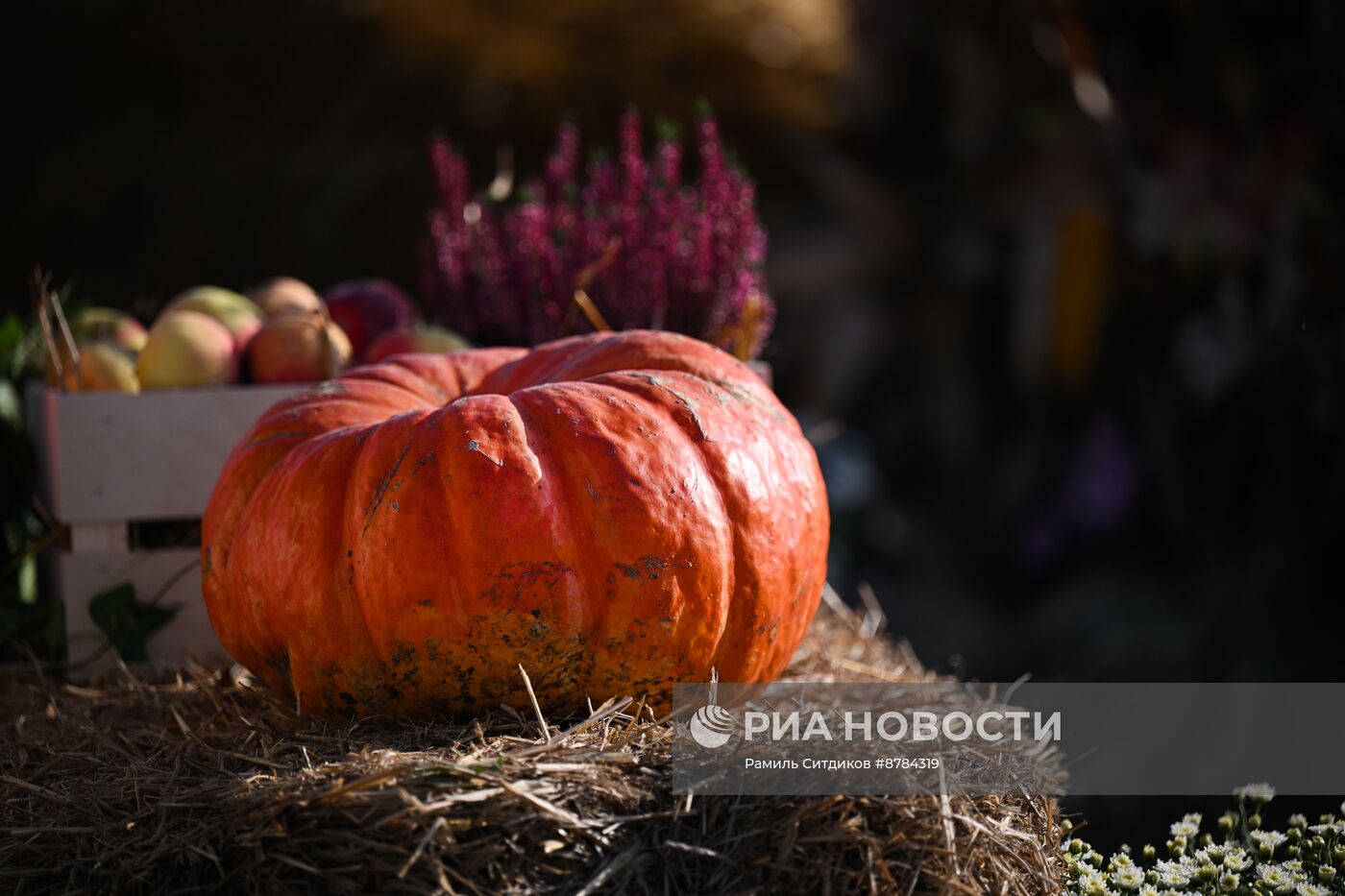 Фестиваль "Золотая осень" в Москинопарке