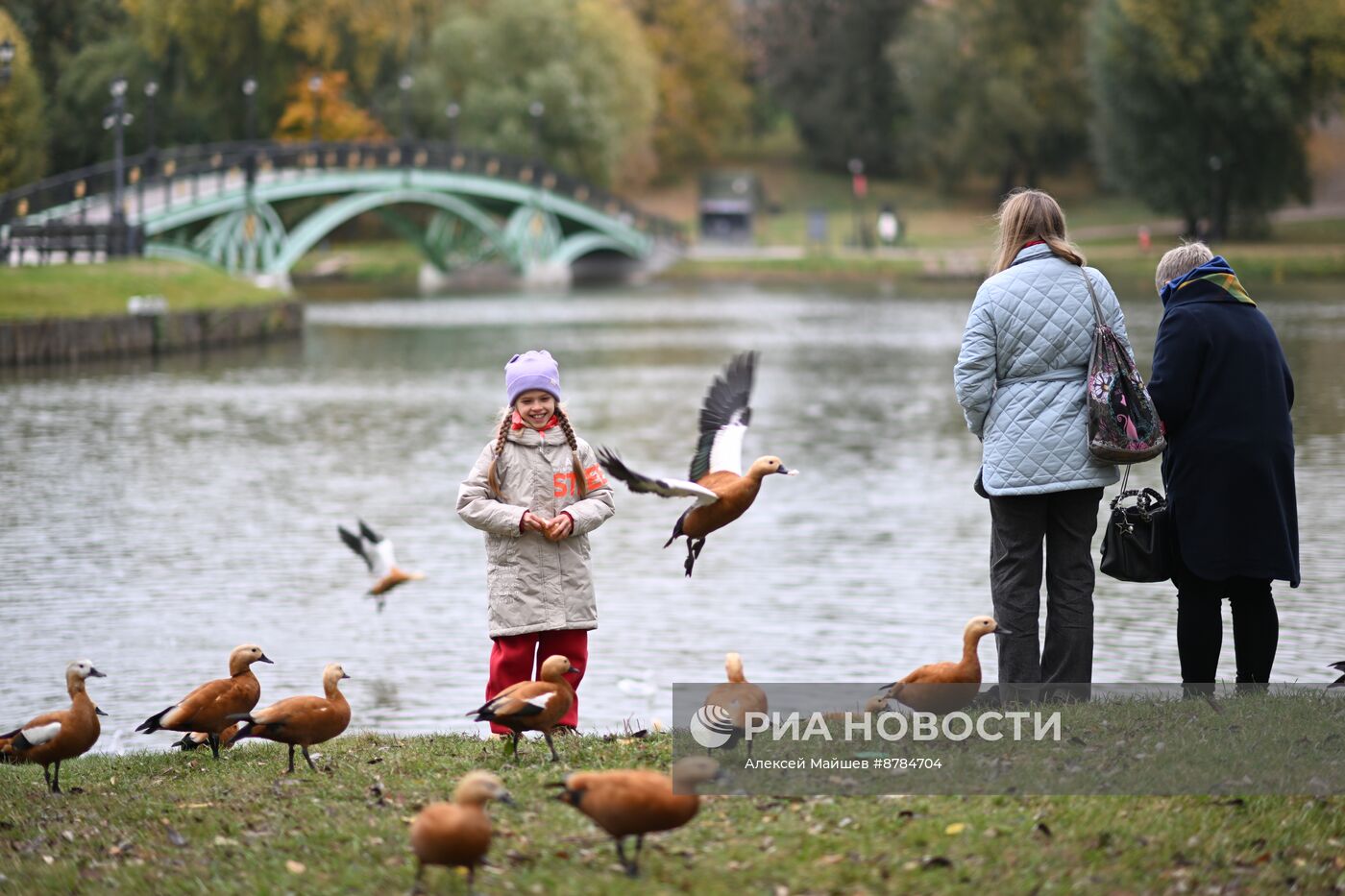 Осень в Москве