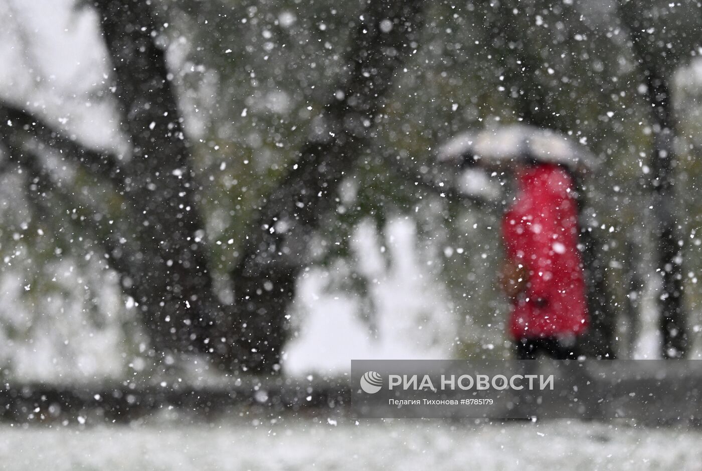 Первый снег в Москве