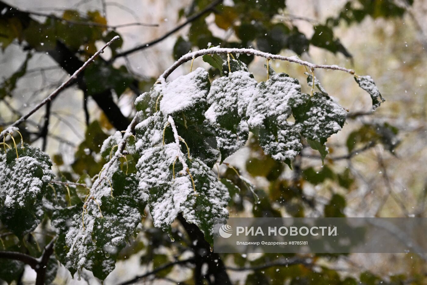 Первый снег в Москве