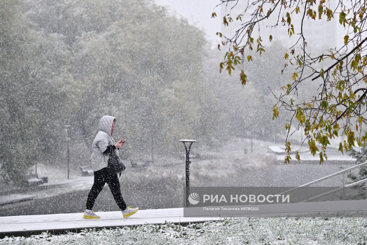 Первый снег в Москве