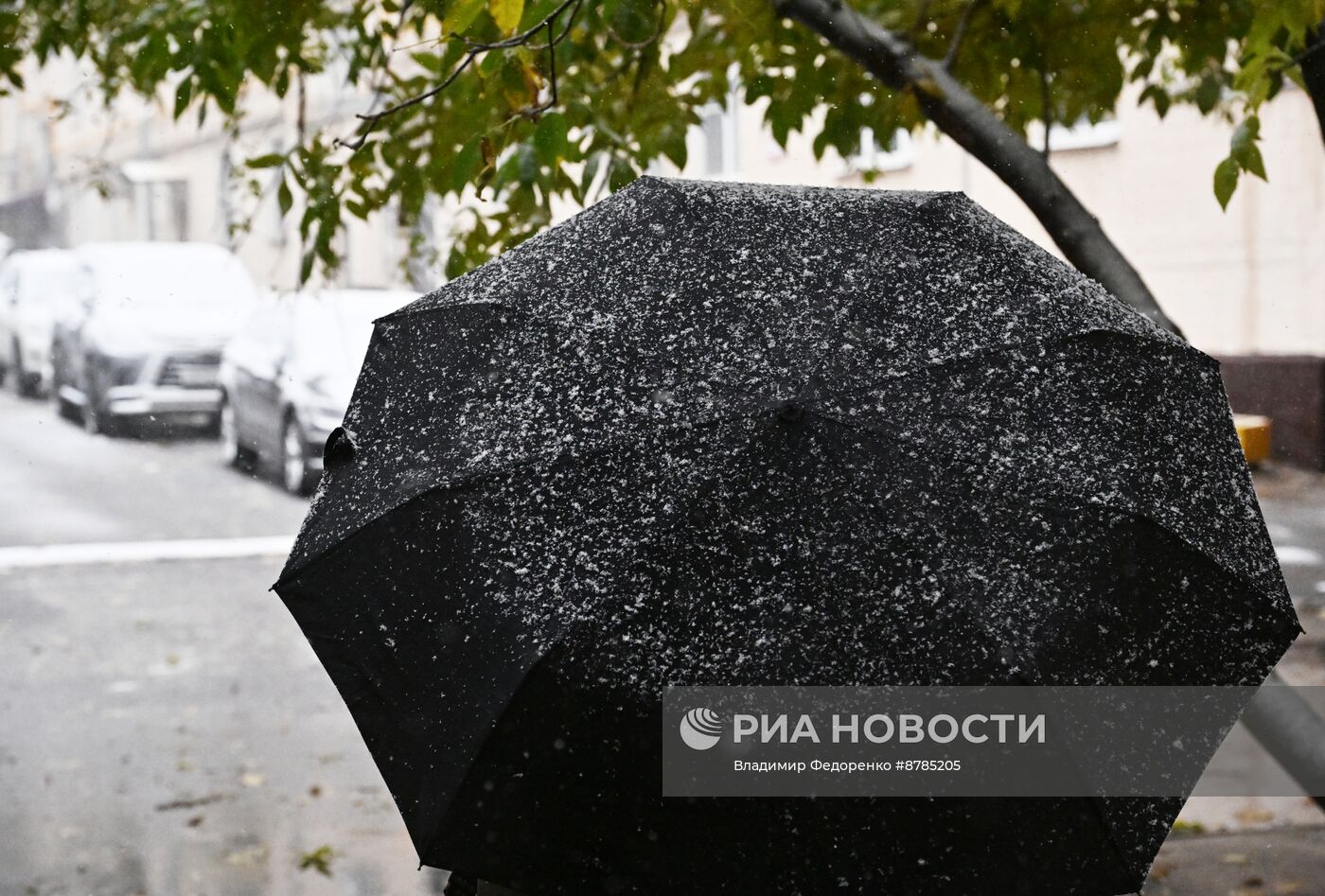 Первый снег в Москве